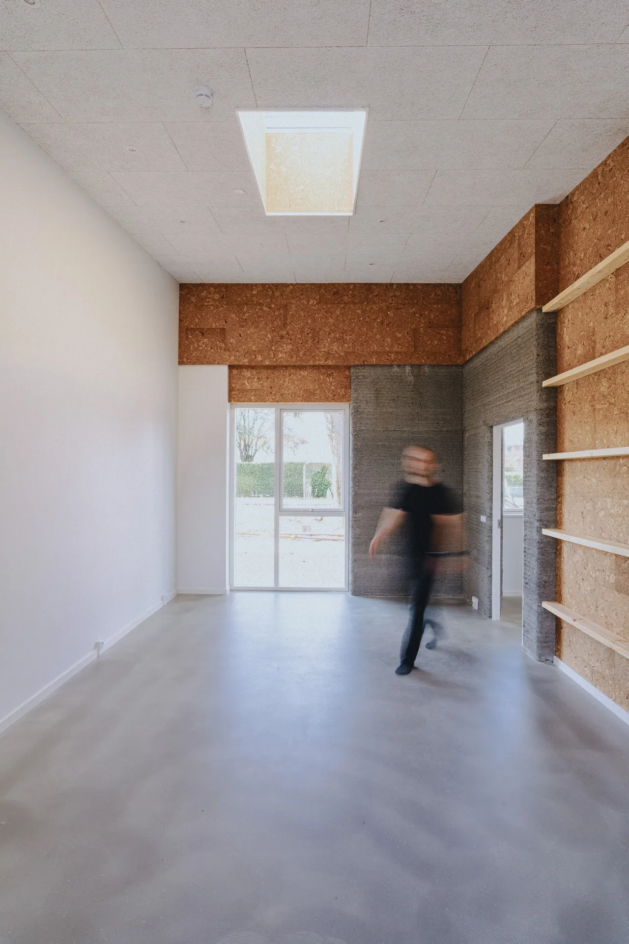 Daylit apartment with skylight and garden window